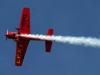 Extra-300 / D-EWKL