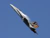 F/A-18 / J-5011