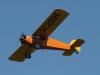 Curtis Robin / NC292E